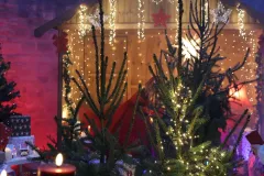 Advent-in-der-Sixti14
