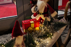 IMG_20251128_165556