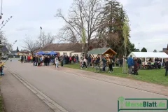 Dorfteich-Meuschau-Osterfeuer2