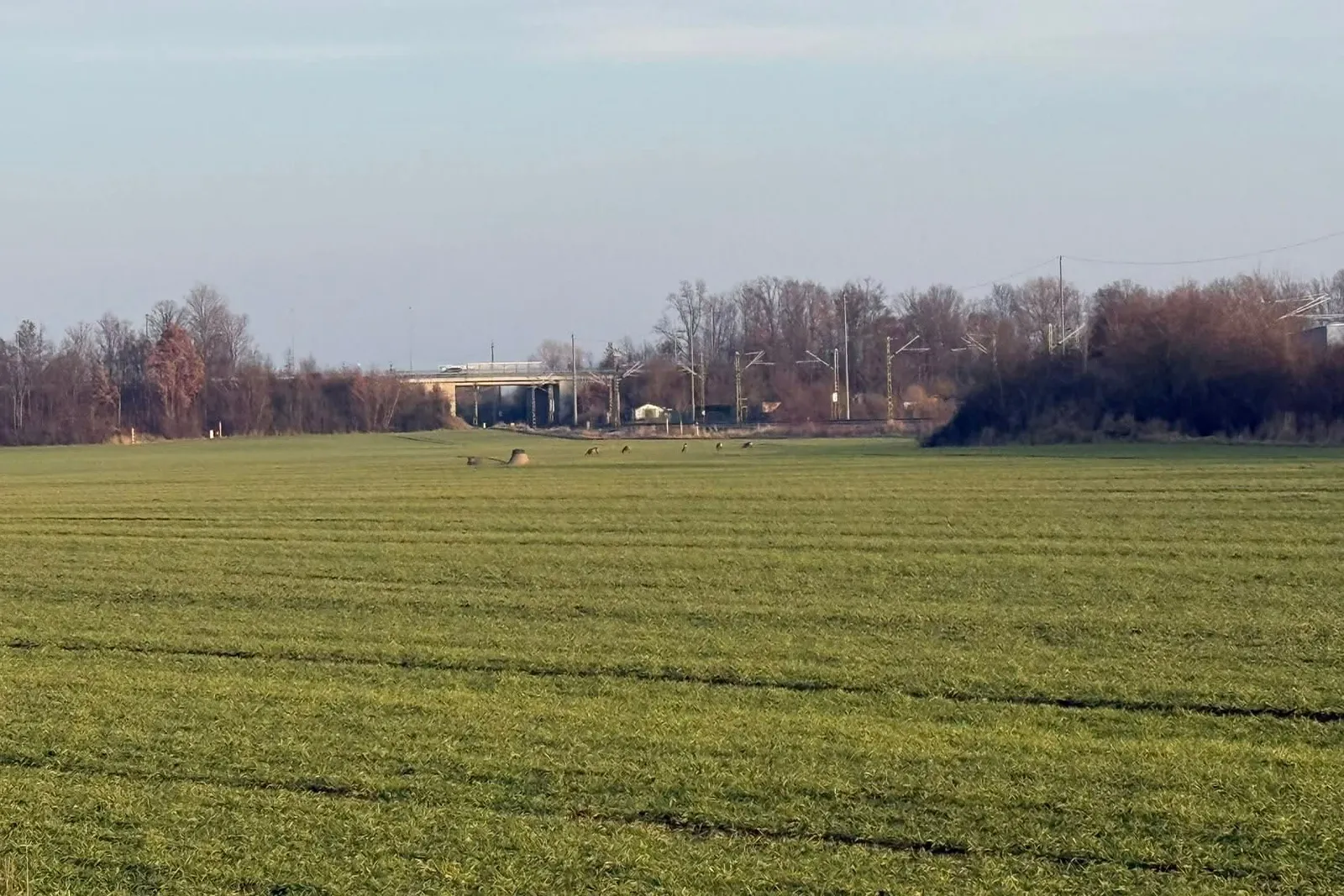 Solarpark Merseburg-Nord: EnBW lässt weiteres Vorgehen offen