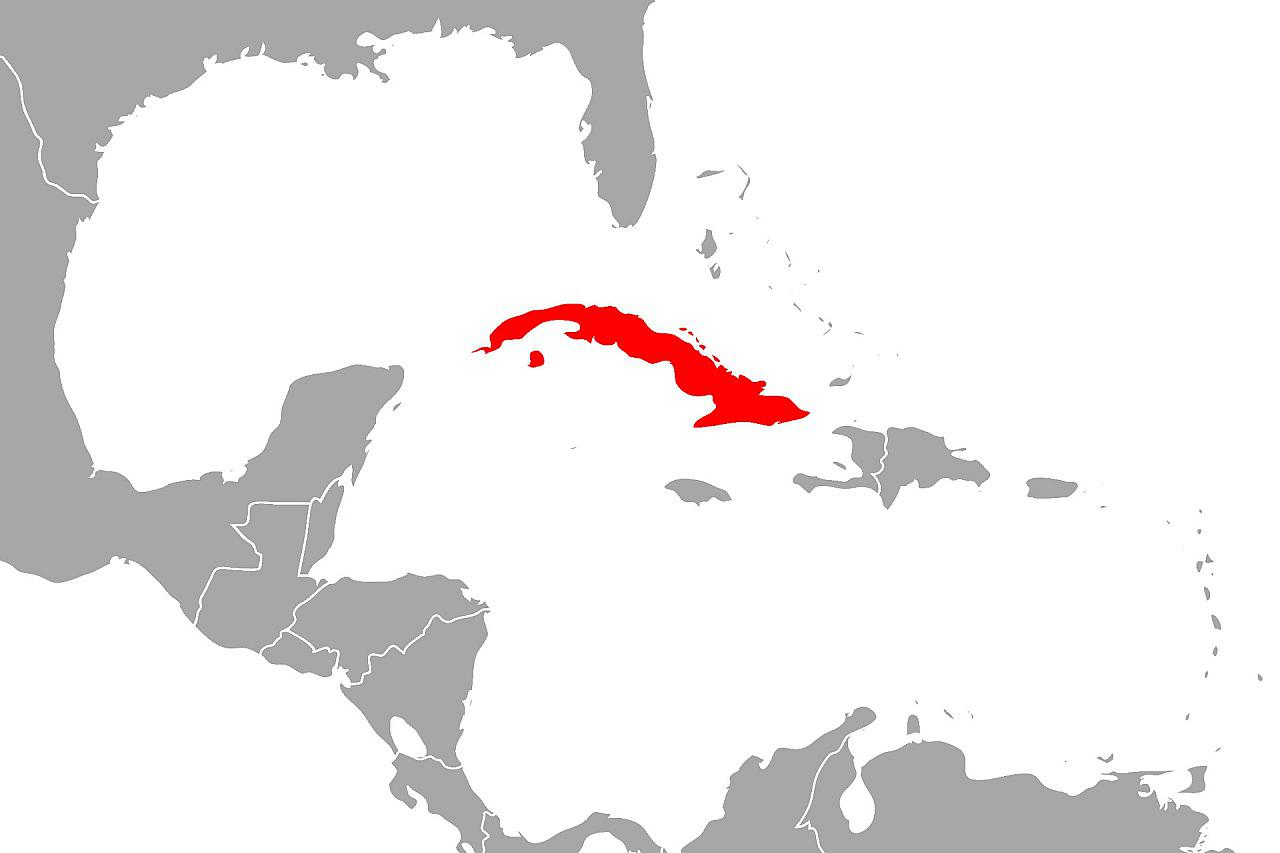 Trump erlaubt russischen Öltanker nach Kuba