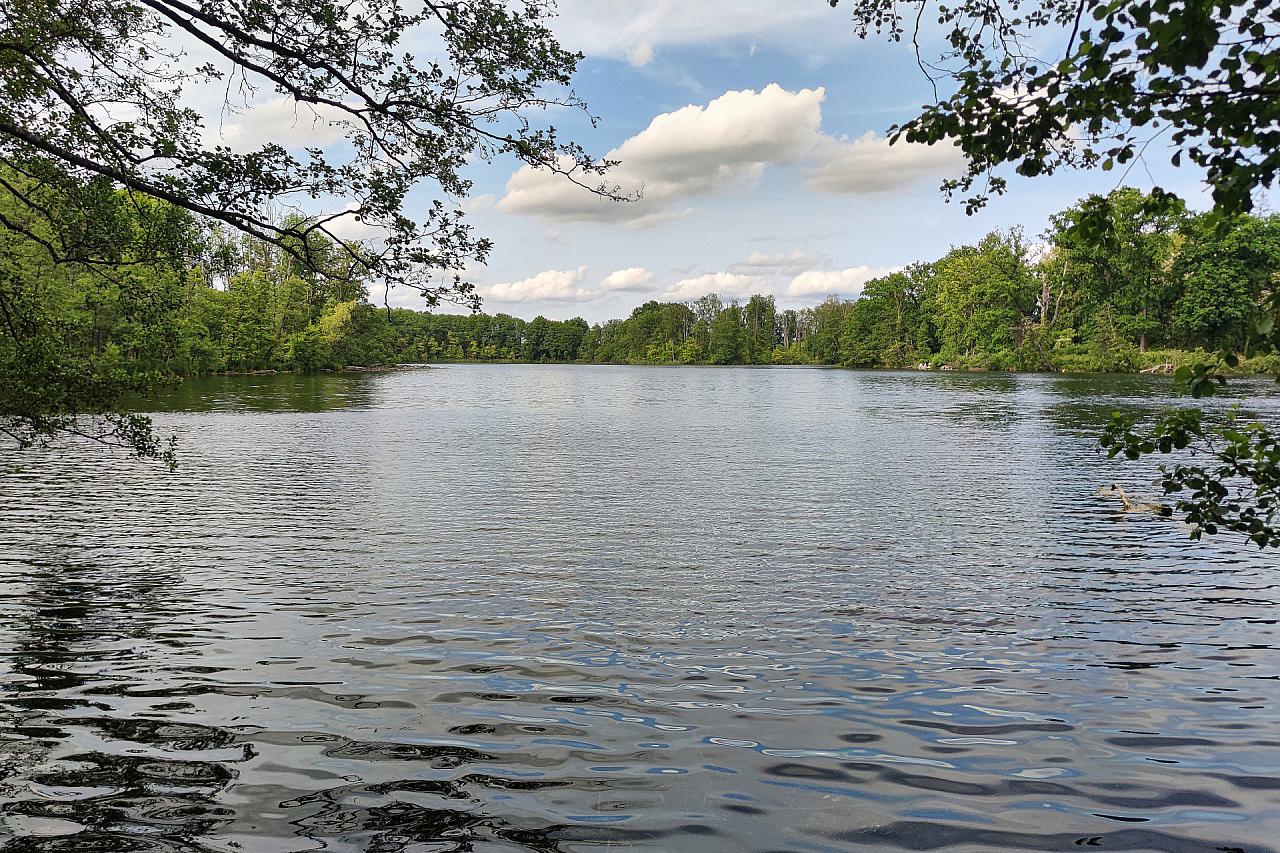 98 angehende Fischer bestehen Prüfung im Landkreis Harz