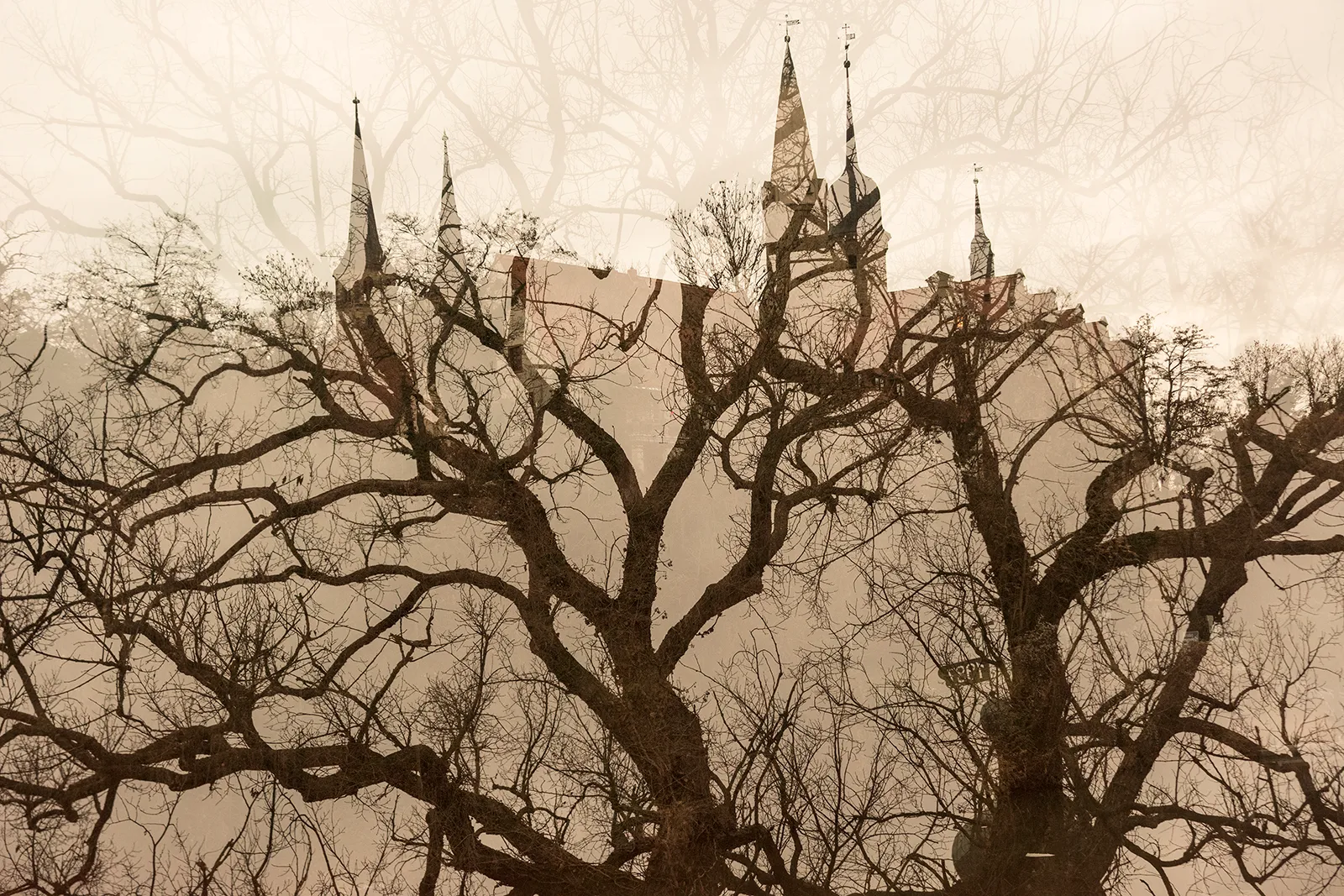 22. August: Künstlerführung mit Fotokurs im Schloss Merseburg