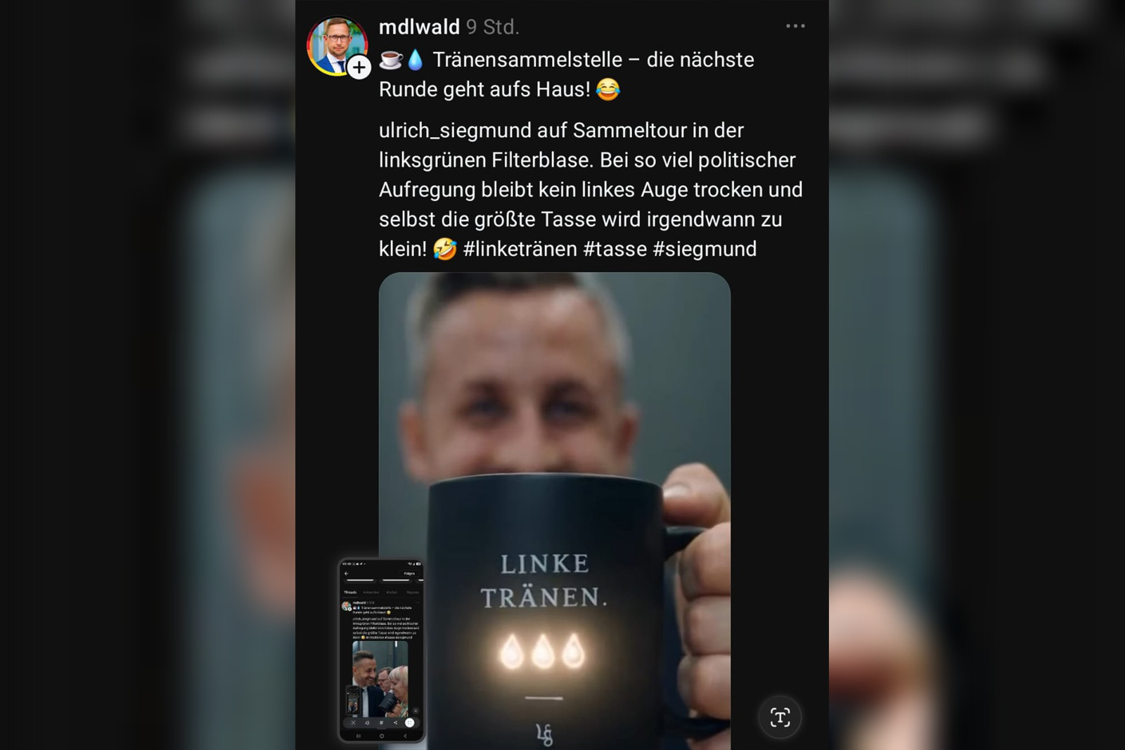 Merseburger AfD-Politiker Wald postet peinlichen KI-Clip, der für Unmut im Netz sorgt